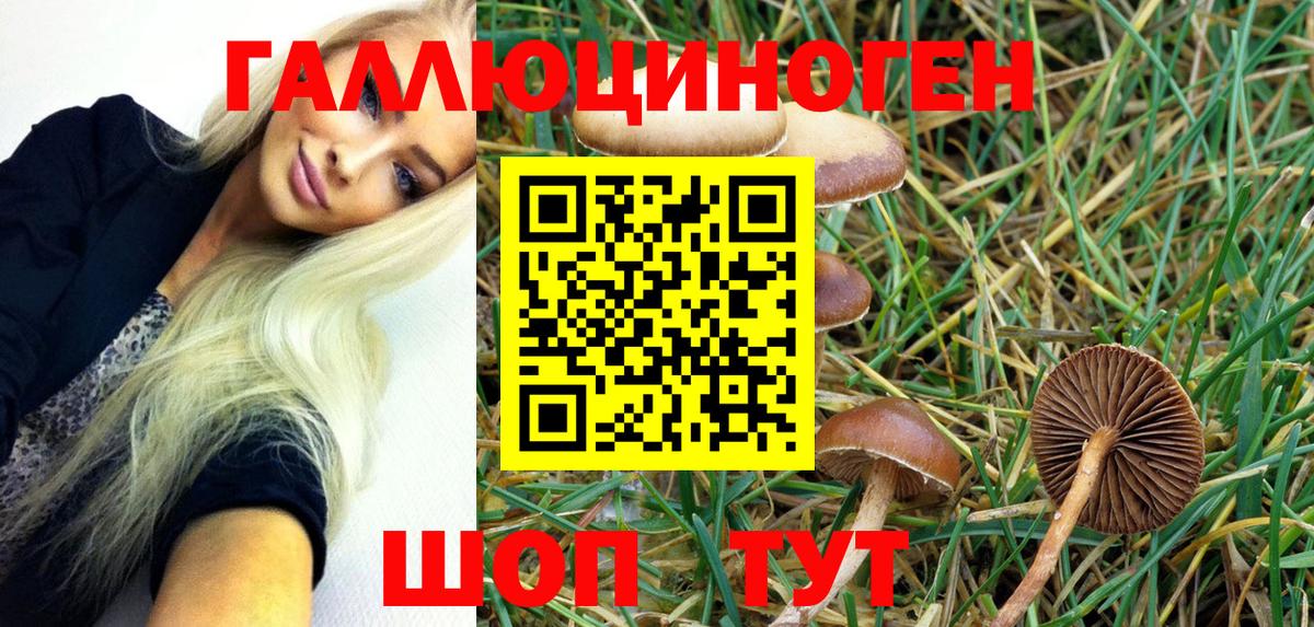 Клин  Псилоцибиновые грибы мицелий  Галлюциногенные грибы MAGIC MUSHROOMS  Вход с VPN 